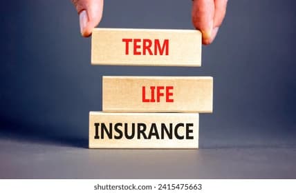 Term Life Insurance